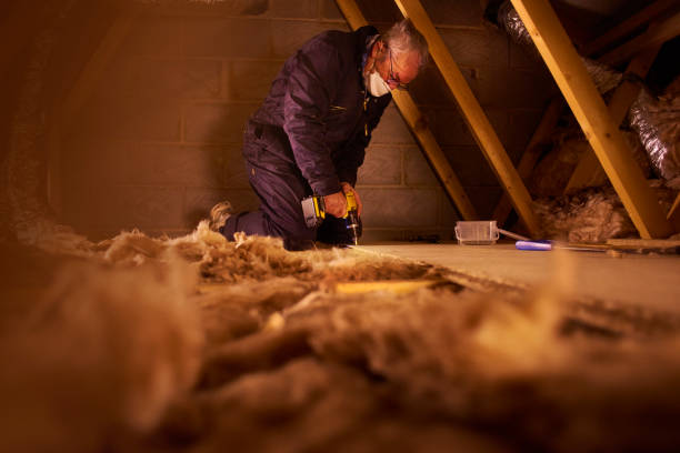 Best Insulation Air Sealing  in Scappoose, OR